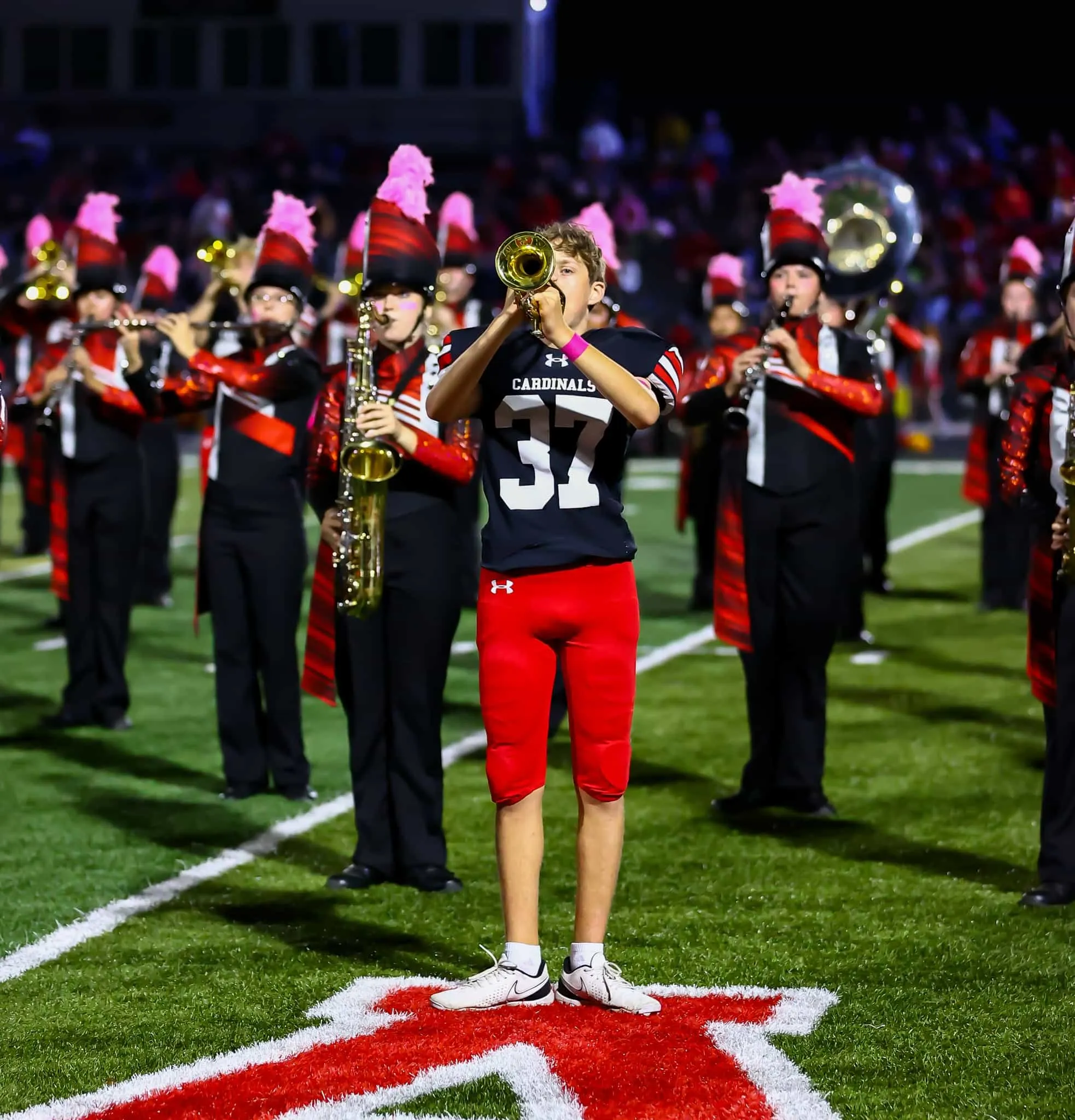 Newton cardinals band